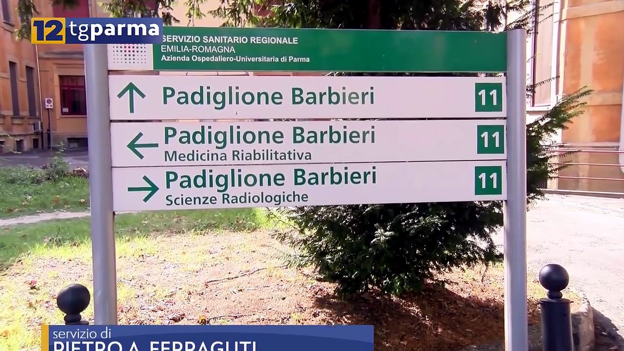COVID, VARIANTE KP-3: ALCUNI CASI ANCHE NEL PARMENSE | COVID, VARIANTE KP-3: ALCUNI CASI ANCHE NEL PARMENSE