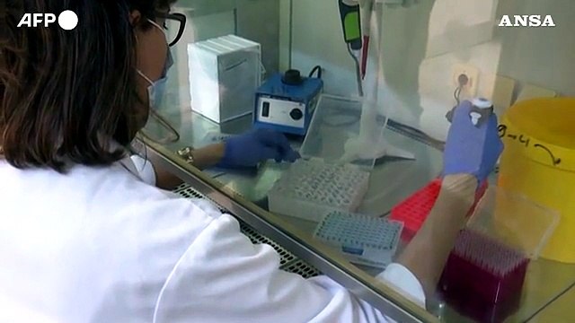 Anticorpi monoclonali per accompagnare il vaccino
