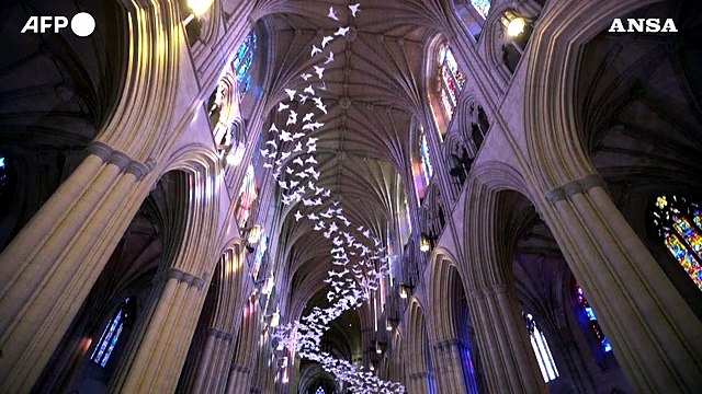Washington, migliaia di colombe nella cattedrale: simbolo di speranza per il 2021