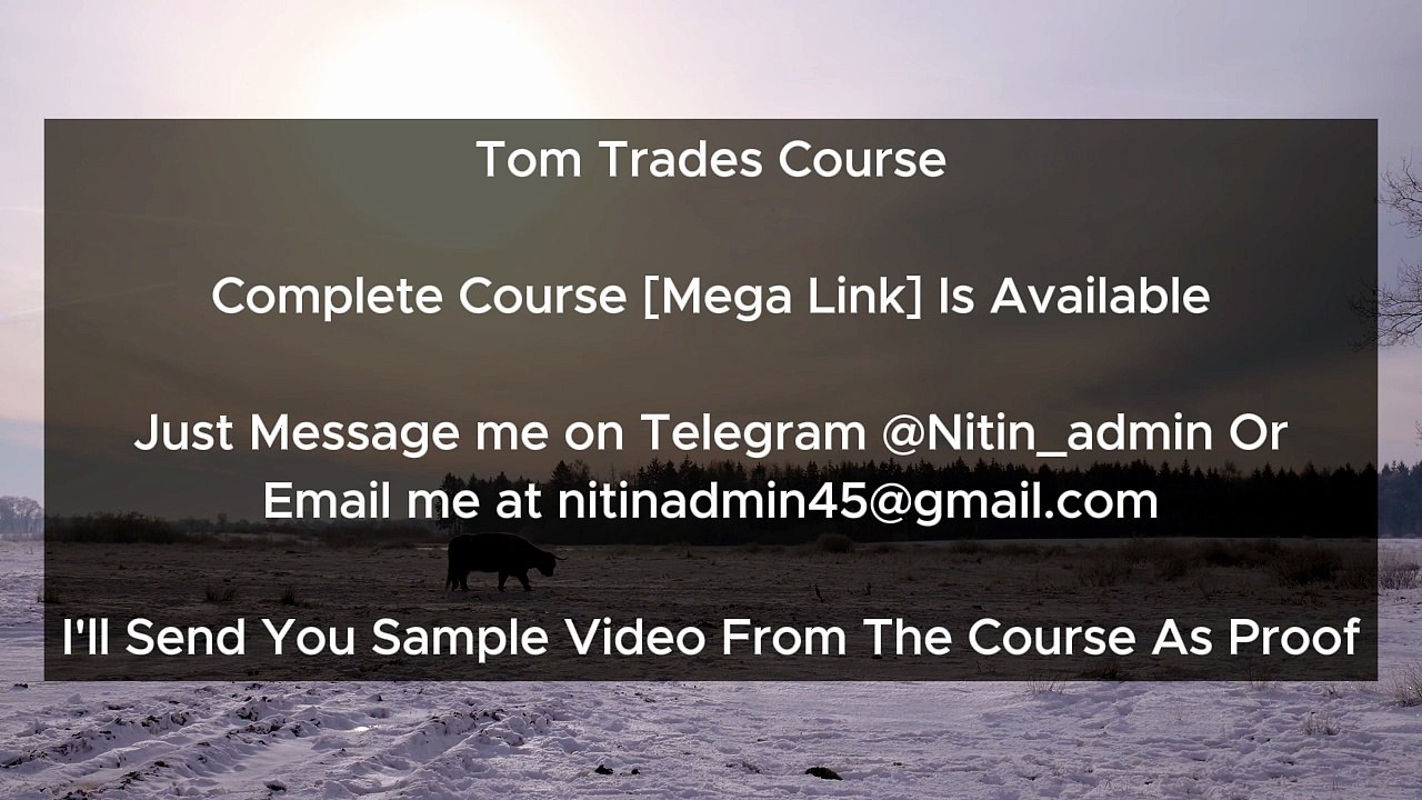 Tom Trades Course