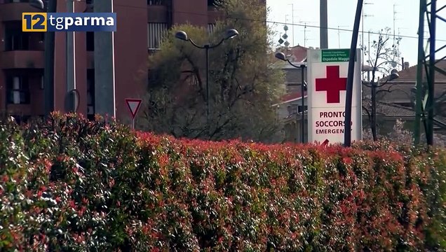 MORTO IL FATTORINO 35ENNE TRAVOLTO DA UN'AUTO IN VIA MANTOVA | MORTO IL FATTORINO 35ENNE TRAVOLTO DA UN'AUTO IN VIA MANTOVA