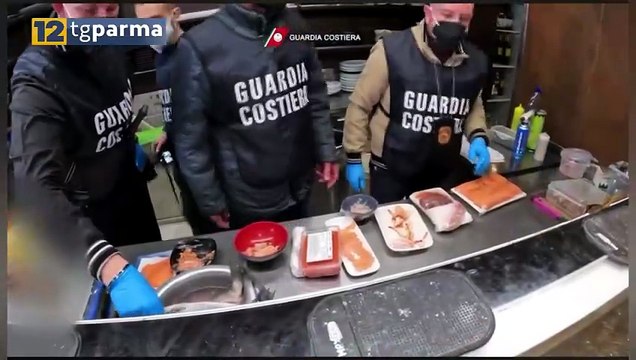 GUARDIA COSTIERA DI LA SPEZIA: MAXI SEQUESTRO DI PRODOTTI ITTICI ANCHE A PARMA | GUARDIA COSTIERA DI LA SPEZIA: MAXI SEQUESTRO DI PRODOTTI ITTICI ANCHE A PARMA