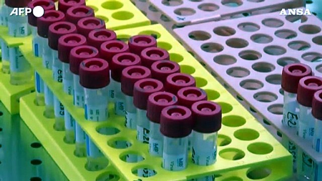 Anticorpi monoclonali al via, parte la fase 2 dei vaccini