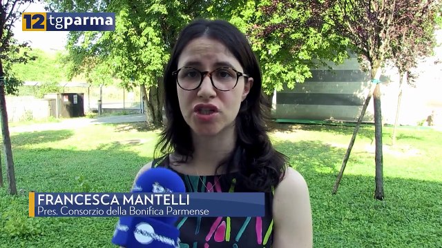 DISSESTO ULTIMI 9 MESI: INTERVENTI PER 500MILA EURO DELLA BONIFICA PARMENSE | DISSESTO ULTIMI 9 MESI: INTERVENTI PER 500MILA EURO DELLA BONIFICA PARMENSE