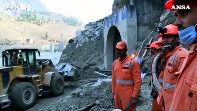 India, cani da fiuto impiegati per le ricerche dei superstiti del ghiacciaio
