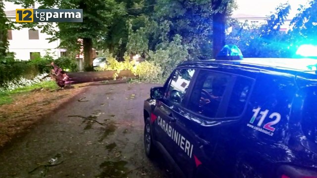VENTO E PIOGGIA: ANCORA DANNI A PARMA E NELLA BASSA; PARCHI RIAPERTI DOPO LE 12 | VENTO E PIOGGIA: ANCORA DANNI A PARMA E NELLA BASSA; PARCHI RIAPERTI DOPO LE 12