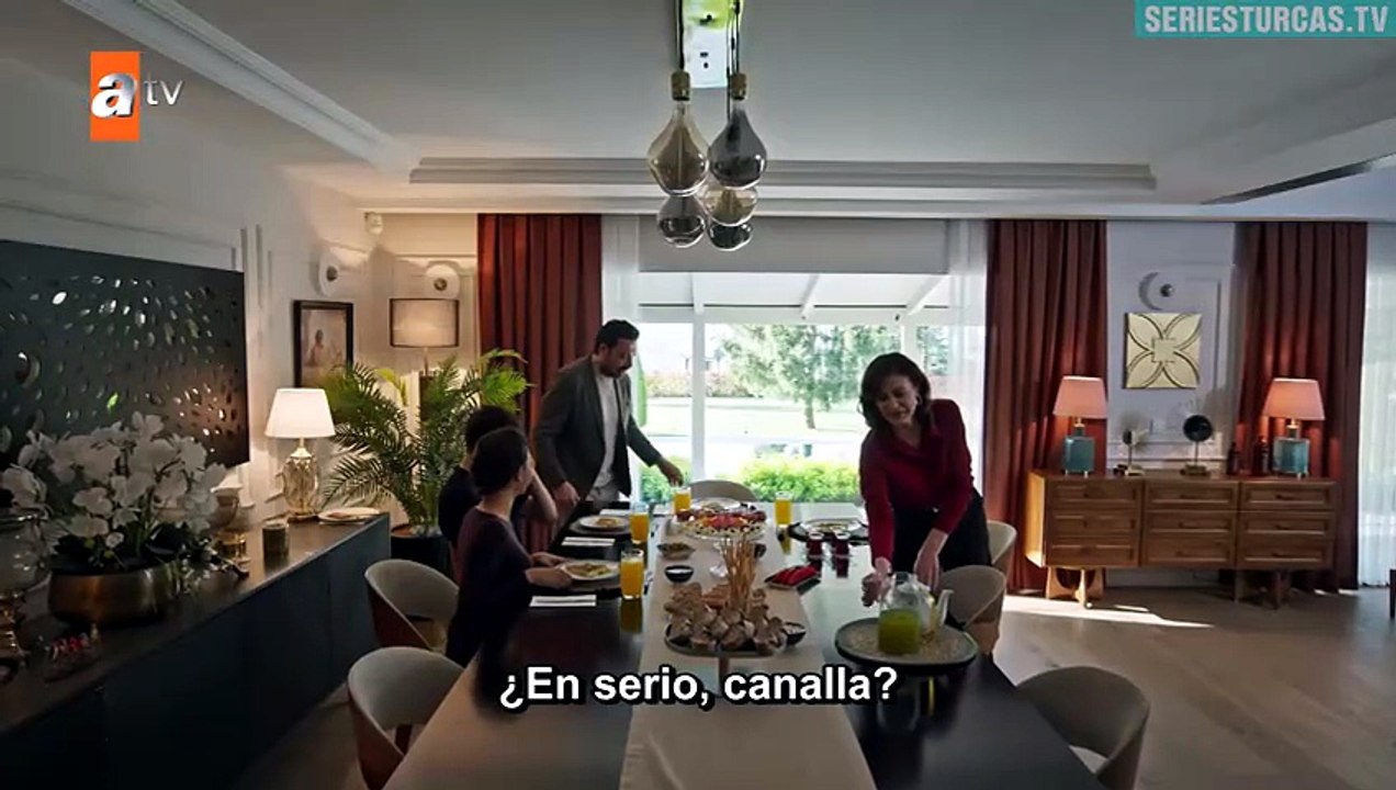 Can Borcu - Capitulo 19 en Español