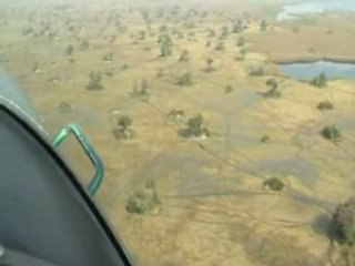 Vingt jours au Botswana