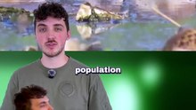 Il ne représente qu'1% des mâles de son espèces ! #génétique #rare #oiseaux #biologie #animaux