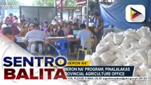 Pagpapatupad ng 'Benteng Bigas, Meron Na' program sa Benguet, pinalalakas; vulnerable sector at mga magsasaka, nakikinabang | ulat ni Breves Bulsao - PTV Cordillera