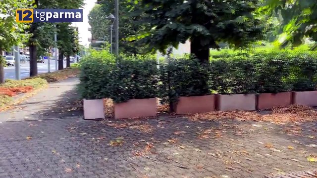SENZATETTO RAPINATO E AGGREDITO CON L'ACIDO: CACCIA AI COLPEVOLI | SENZATETTO RAPINATO E AGGREDITO CON L'ACIDO: CACCIA AI COLPEVOLI