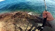 INCREDIBLE SEA CAVES to CAMP and FISH