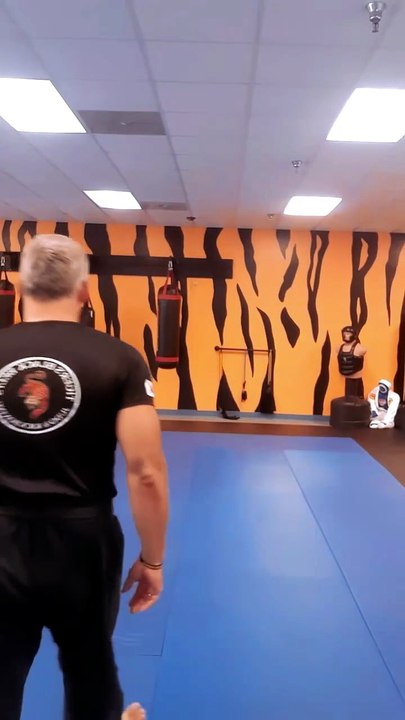 Tong Hap Kwan Hoshinsul Kicking Techniques