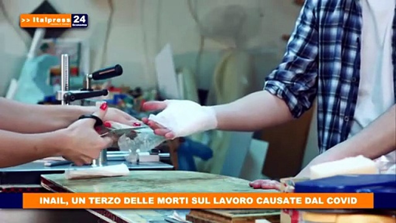 tg economia 11 fe