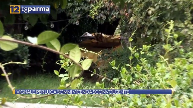 VIGNALE: PER LUCA SOMMI VICENDA SCONVOLGENTE | VIGNALE: PER LUCA SOMMI VICENDA SCONVOLGENTE