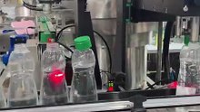 Looking for a four wheel capping machine for beverage cans