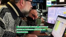 «Гринпис» изучает дно «Банановой ямы»