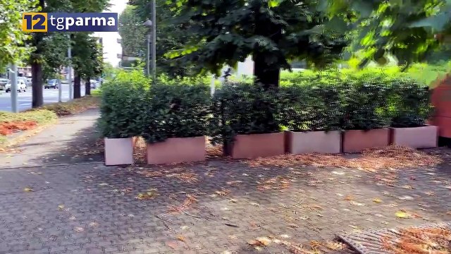 SORBOLO: SENZATETTO RAPINATO E AGGREDITO CON L'ACIDO | SORBOLO: SENZATETTO RAPINATO E AGGREDITO CON L'ACIDO