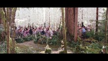 Twilight - Chapitre 4 : révélation