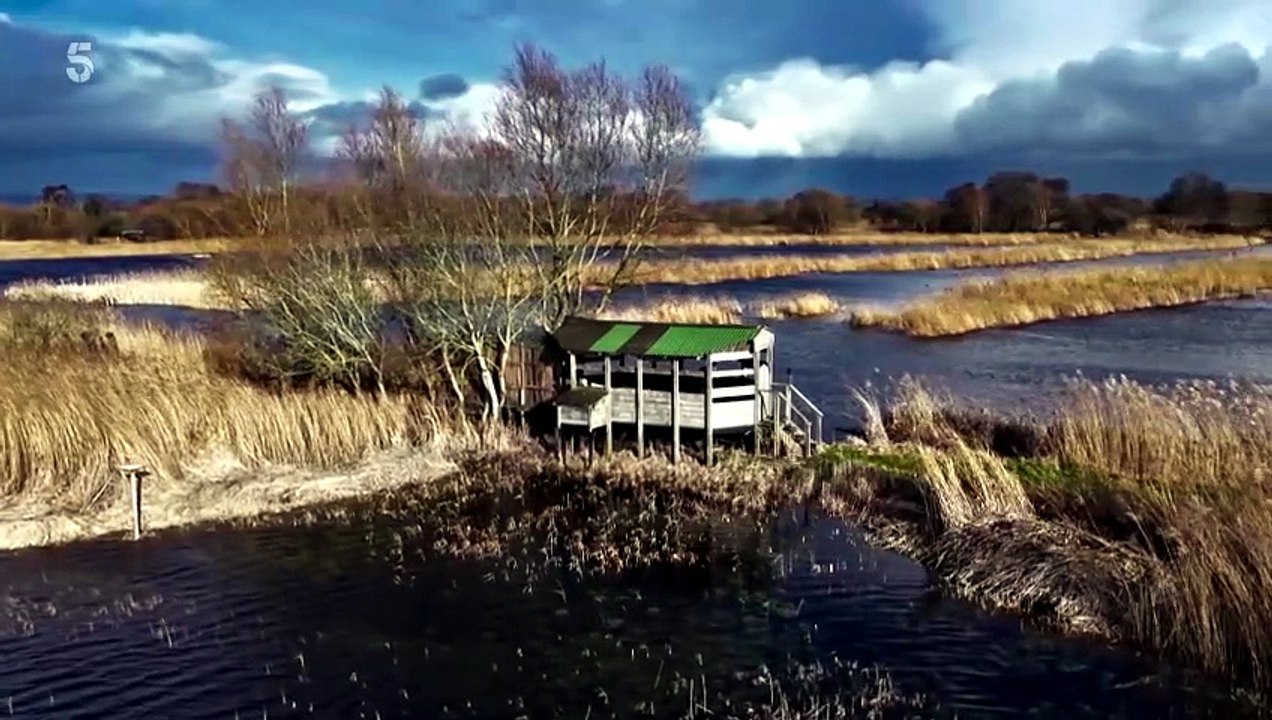 Sam and Ade Go Birding S01E03