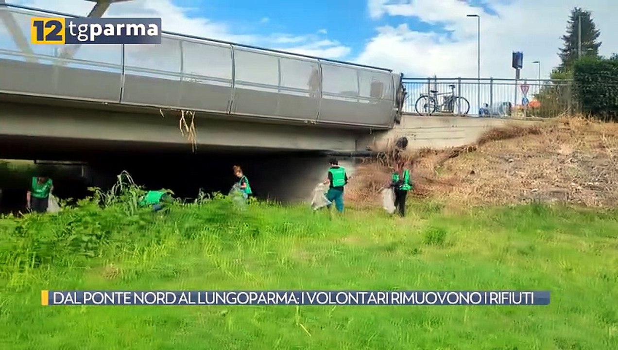 DAL PONTE NORD AL LUNGOPARMA: I VOLONTARI RIMUO...