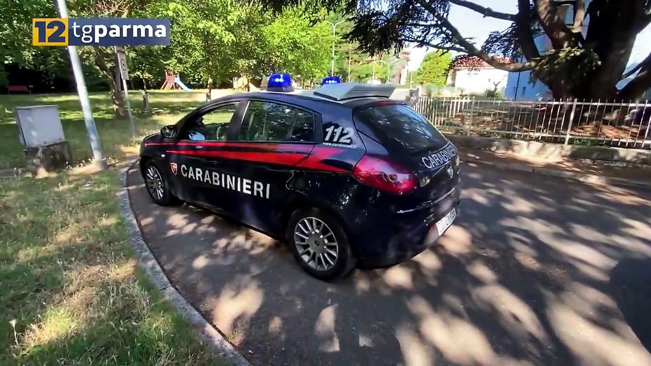 ALLARME PEDOFILI, I CARABINIERI: "TUTTO FALSO, NESSUNA EMERGENZA" | ALLARME PEDOFILI, I CARABINIERI: "TUTTO FALSO, NESSUNA EMERGENZA"