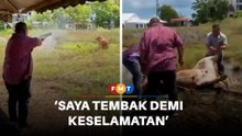 Saya tembak lembu mengamuk demi keselamatan, jelas MB Perlis