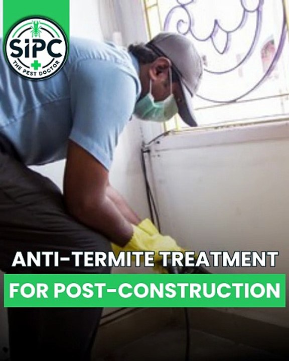 Expert Anti Termite Treatment | Trusted Termite Control Services | SIPC