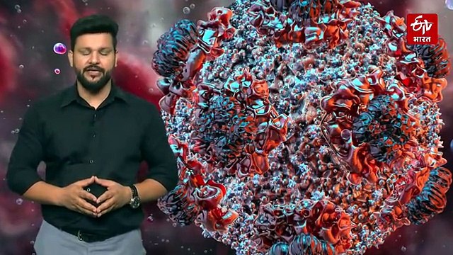 क्या दुनिया पर फिर मंडरा रहा वायरस का खतरा? जानिए हंटावायरस की पूरी कहानी