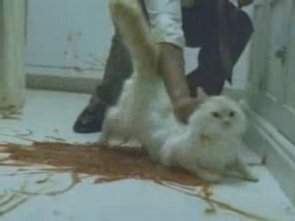 Ameriquest- RomanticDinner