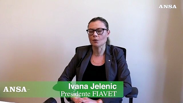 Viaggi, Fiavet: Covid pass nel Lazio? Bene, ma serve un certificato europeo