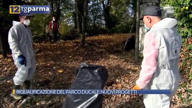 RIQUALIFICAZIONE DEL PARCO DUCALE: NUOVI PROGETTI | RIQUALIFICAZIONE DEL PARCO DUCALE: NUOVI PROGETTI