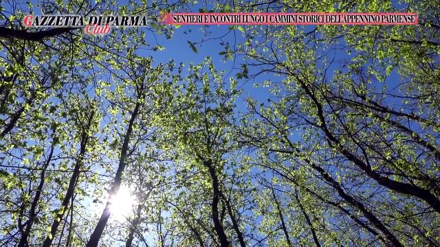 Gazzetta Club - Sentieri e incontri lungo i cammini storici dell'Appennino Parmense - del 03-10-24 | Gazzetta Club - Sentieri e incontri lungo i cammini storici dell'Appennino Parmense - del 03-10-24