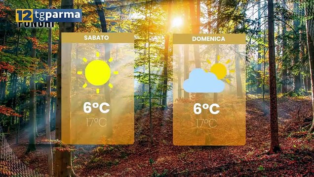 12 TV PARMA, ALLE 22,05 DEBUTTA PASSIONE FUNGHI | 12 TV PARMA, ALLE 22,05 DEBUTTA PASSIONE FUNGHI