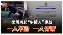 柔佛接连发生两起“牛撞人”事故 一人身亡、一人骨断
