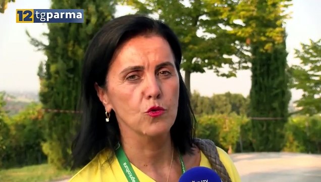 REGIONALI, IL PD DI PARMA UFFICIALIZZA LA LISTA: 5 CANDIDATI | REGIONALI, IL PD DI PARMA UFFICIALIZZA LA LISTA: 5 CANDIDATI