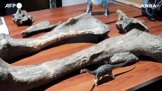 Cile, svelato l' Arackar licanantay : lo scheletro del dinosauro del deserto