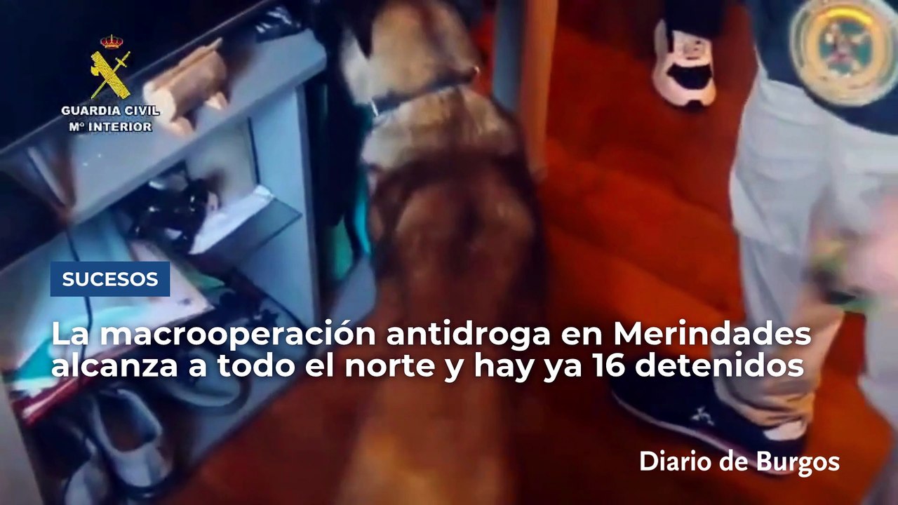 Macrooperación antidroga en Merindades: prisión para cuatro de los 16 detenidos en Burgos, Vizcaya y Toledo
