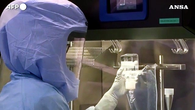 Ema, ok estensione seconda dose Pfizer a 40 giorni