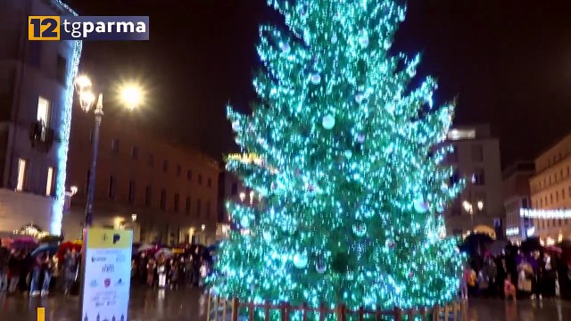 PIAZZA GARIBALDI, ACCESO L'ALBERO IN UNA DOMENICA SOLIDALE | PIAZZA GARIBALDI, ACCESO L'ALBERO IN UNA DOMENICA SOLIDALE
