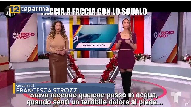 UN ANNO DOPO MATTEO MARIOTTI IN ACQUA CON GLI SQUALI PER SUPERARE LA PAURA | UN ANNO DOPO MATTEO MARIOTTI IN ACQUA CON GLI SQUALI PER SUPERARE LA PAURA