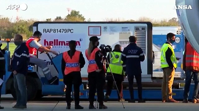 Vaccini, in Argentina arrivate 371 mila dosi di Sinopharm