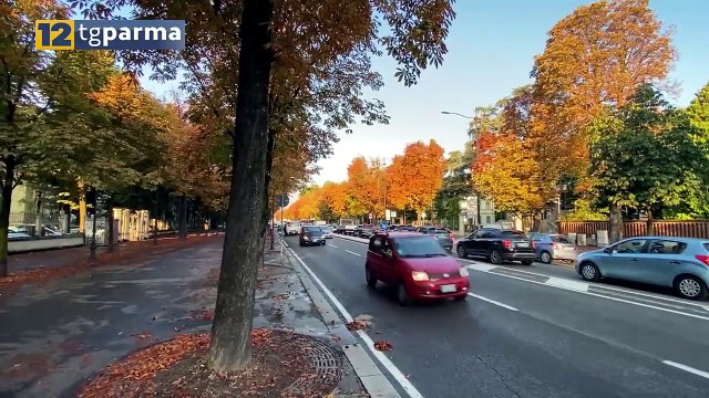 IN VIGORE OGGI IL NUOVO CODICE DELLA STRADA. SANZIONI SEVERE PER I RECIDIVI | IN VIGORE OGGI IL NUOVO CODICE DELLA STRADA. SANZIONI SEVERE PER I RECIDIVI
