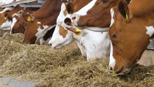 North East England rural crime rises as farm theft costs increase
