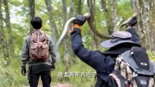 Expedition Team Encounters Deadly Blood Vines, Unexpectedly Discovers Underground Ancient Tomb Vault