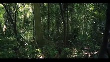 One Man. One Destiny. A Legend Is Born _ Aviation Drama Movie
