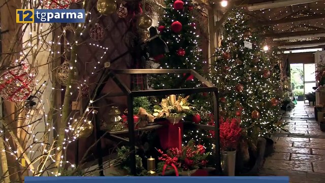 NELLE CASE ADDOBBATE PER LE FESTE L'ALBERO NON PUÒ MANCARE CON DIVERSE NOVITÁ | NELLE CASE ADDOBBATE PER LE FESTE L'ALBERO NON PUÒ MANCARE CON DIVERSE NOVITÁ