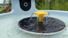 Birdfy Bath Pro Smarte Vogeltränke