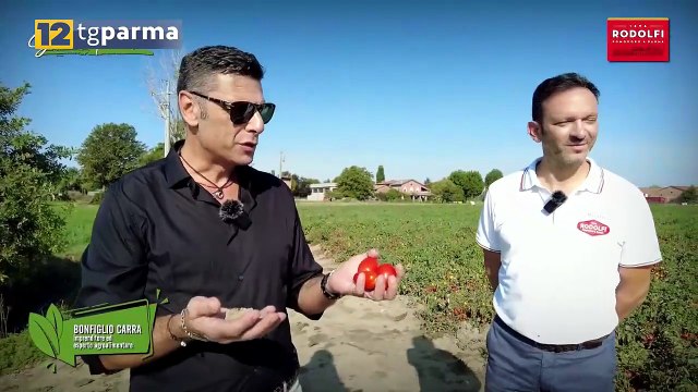 12 TV PARMA, ALLE 21,30 DEBUTTA GUSTO E TRADIZIONE | 12 TV PARMA, ALLE 21,30 DEBUTTA GUSTO E TRADIZIONE