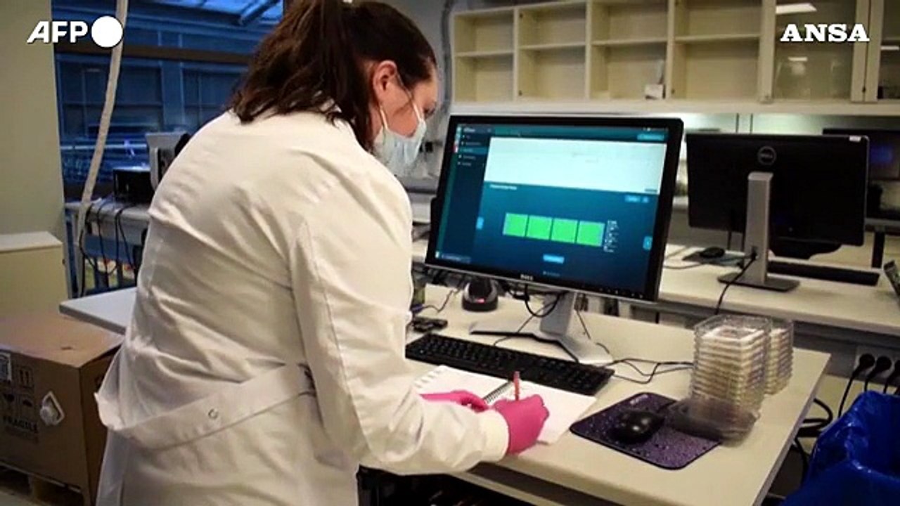 Completata mappa DNA umano, per la medicina del futuro